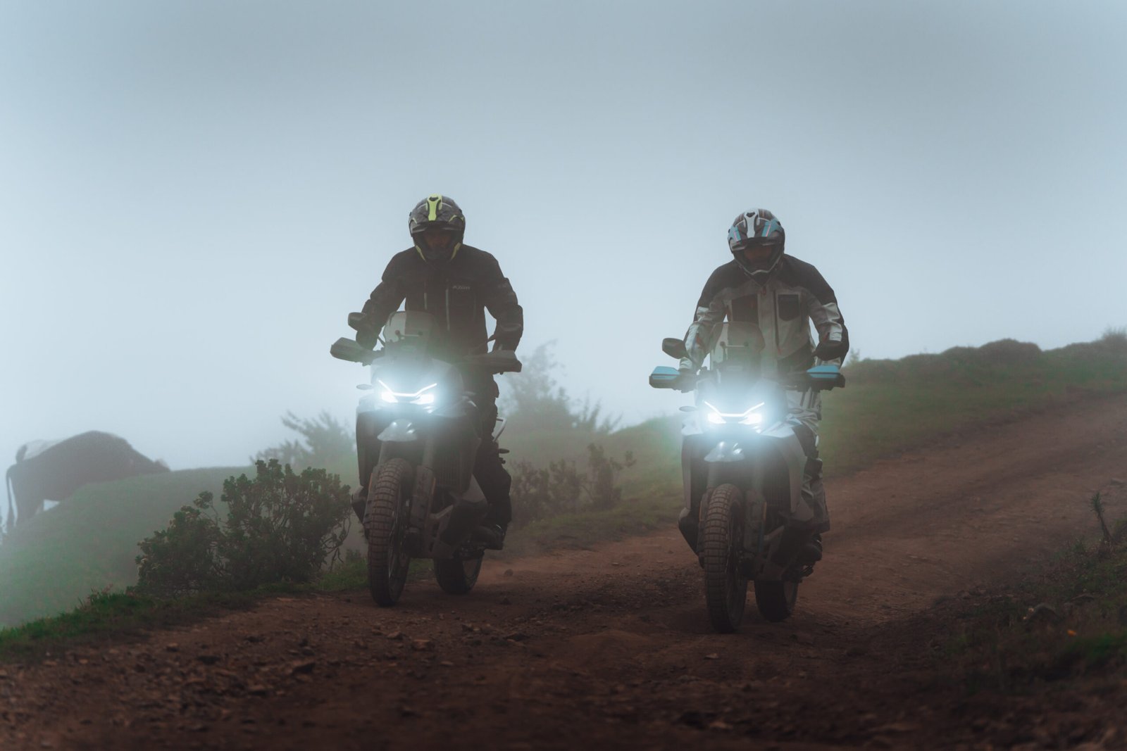 MOTOCIKLS 800 MT - X - Image 9